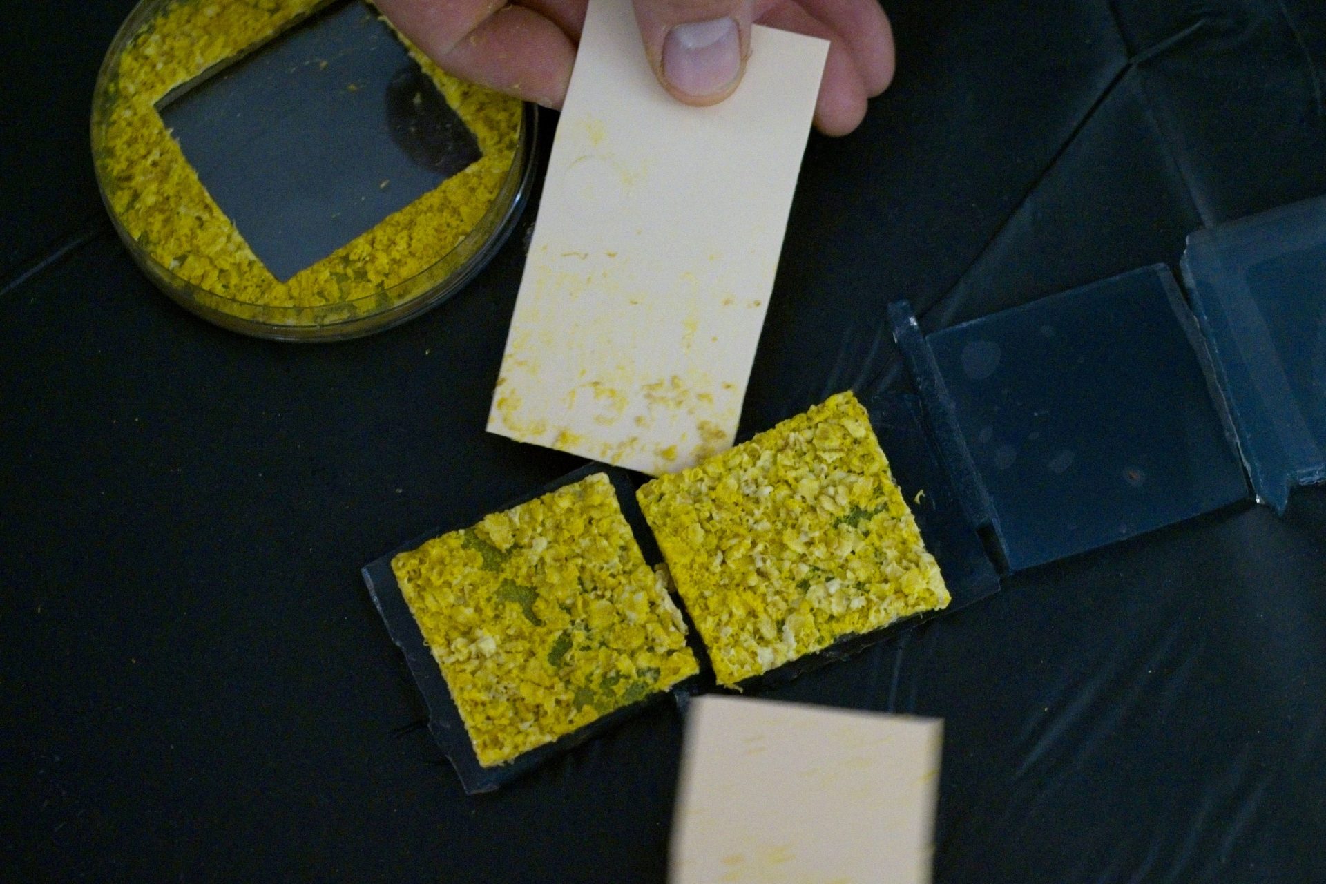 Overdracht van verworven kennis