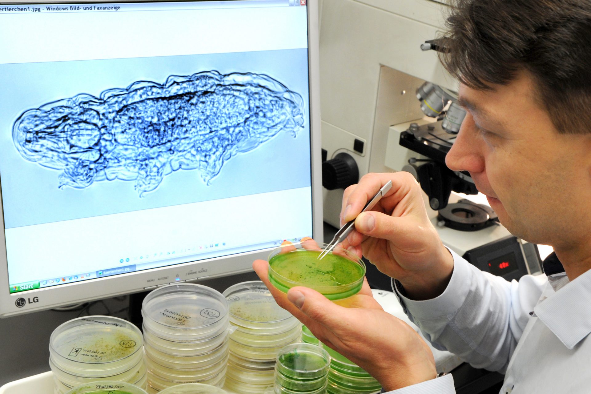 Je kunt ze ook invriezen