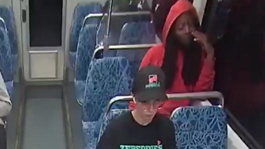 Ukrainian woman seeking safety in US stabbed to death by ex-conman in train