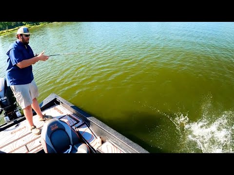 After 20 Years, Anglers Finally Catch Record-Breaking Fish