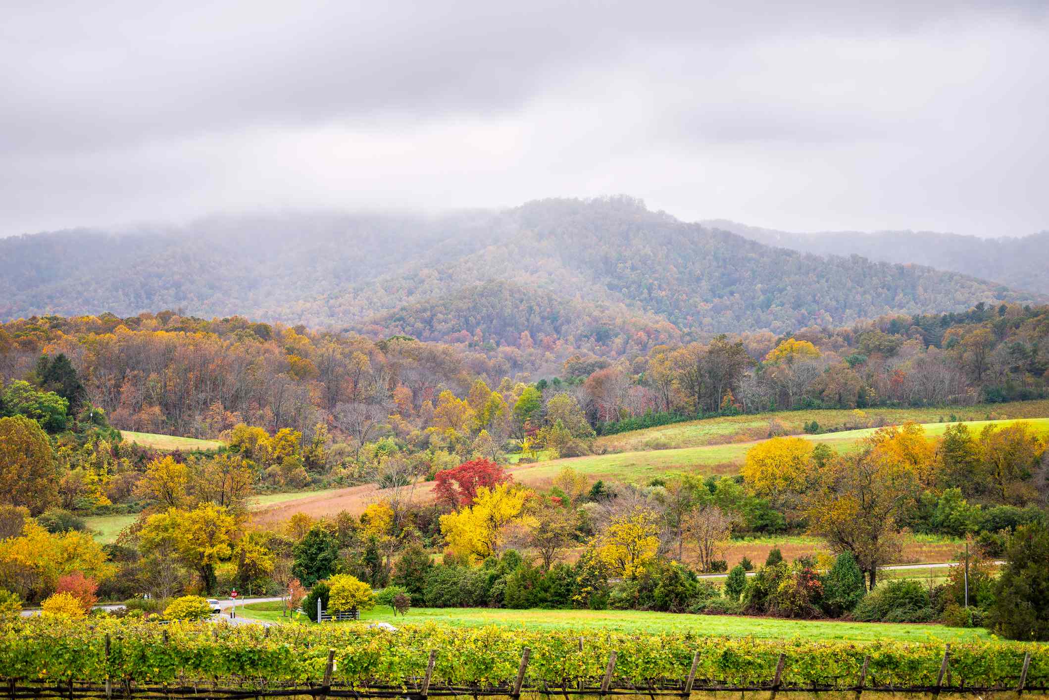 This Cozy Italian Restaurant Is Tucked Away In One Of Virginia's Best ...