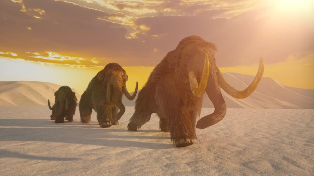 The Real Reason Large Mammals Disappeared From North America 50,000