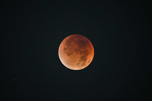 Tokenhive - Blood Moon