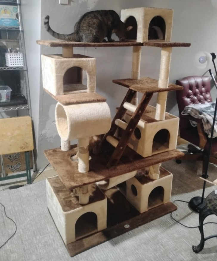 20 Times Abandoned Items Became Someone Else’s Treasure