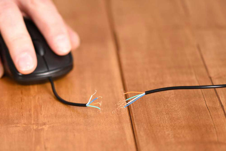 Homestudio 2/Shutterstock.com