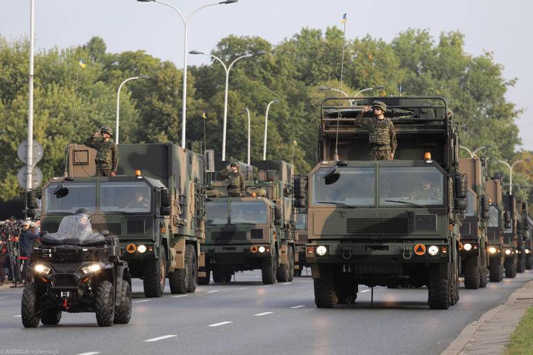 Polskie wojsko (zdj. ilustracyjne)