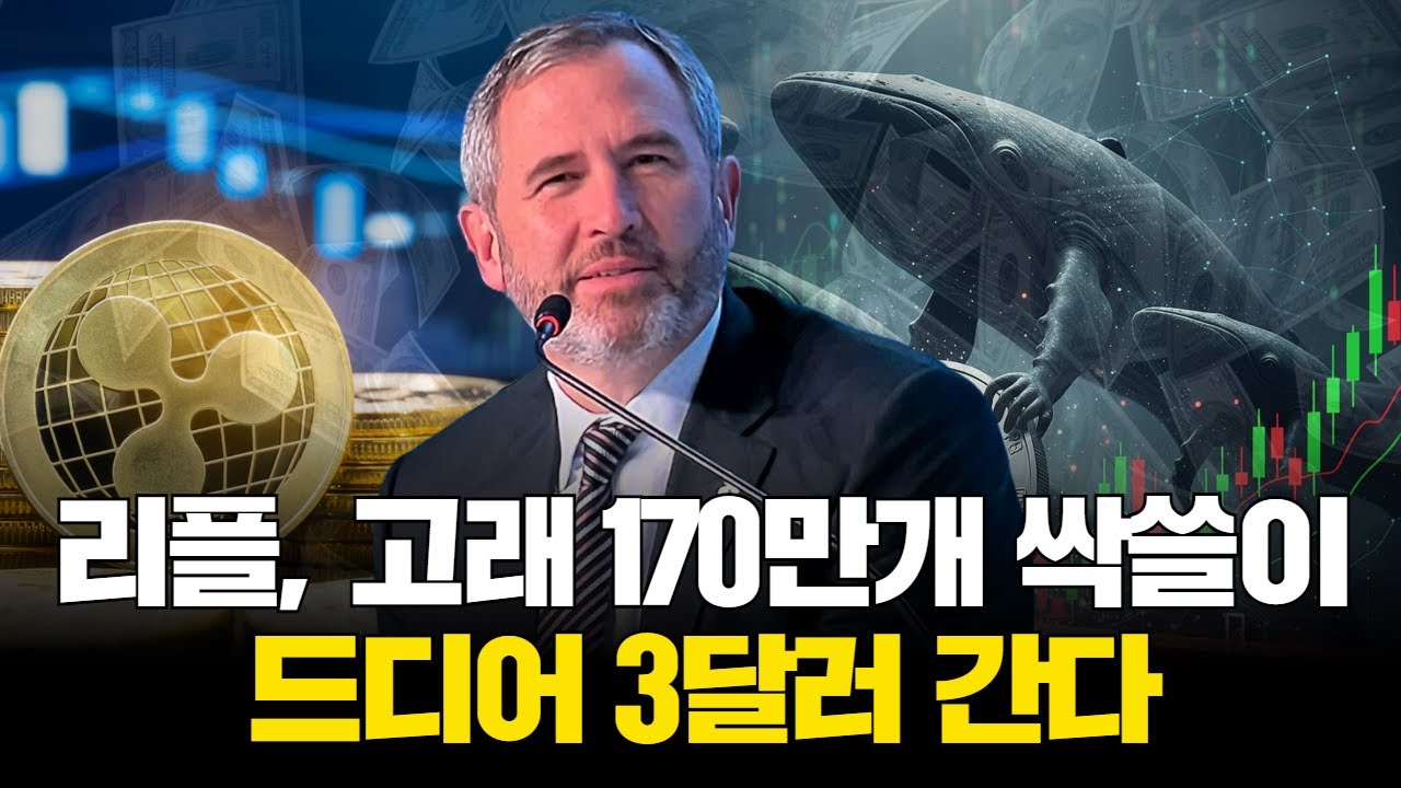 리플, 고래 170만개 싹쓸이…드디어 3달러 간다 | Watch