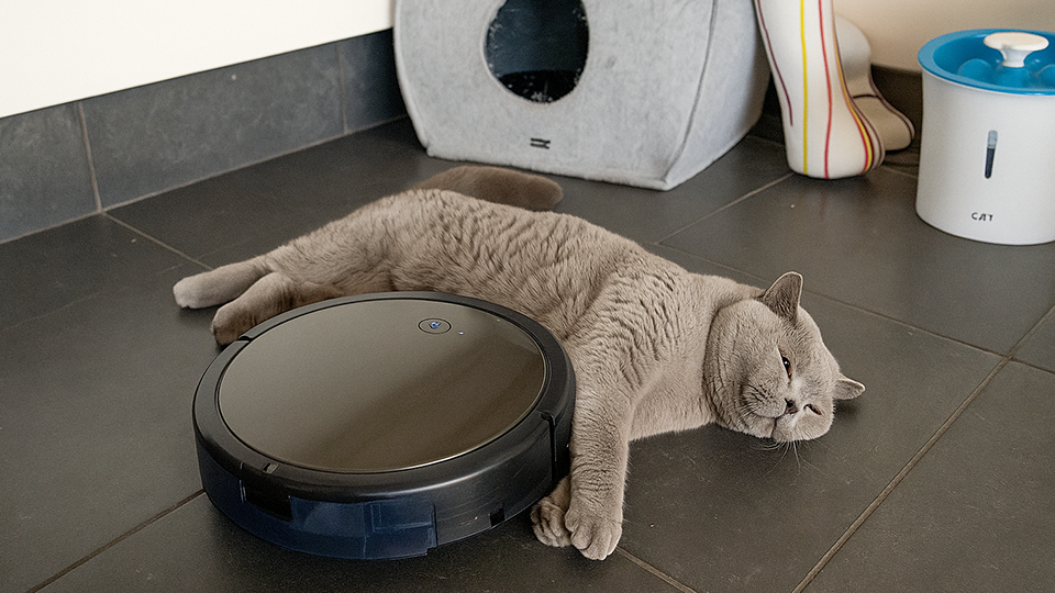 Kat Ontspant met een Robotstofzuiger