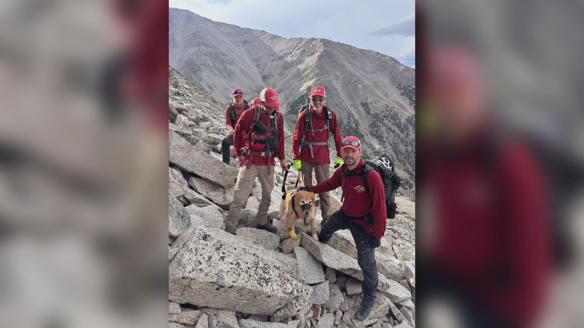 Ruff day Another dog rescued from Colorado’s Mt. Princeton