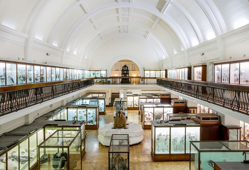 2) Horniman Museum, London