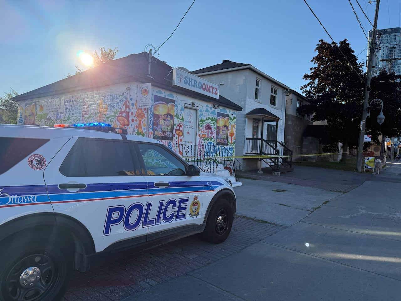 police-seize-14-kilos-of-magic-mushrooms-in-raids-on-9-ottawa-dispensaries