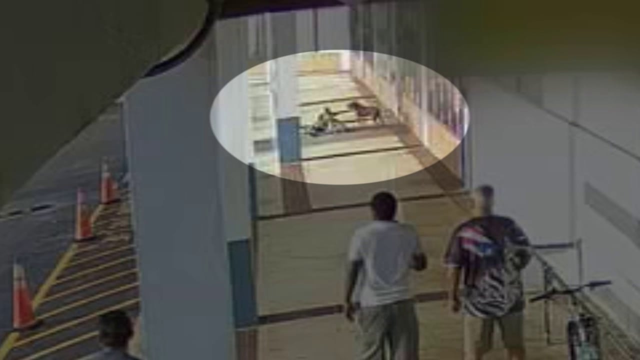 Search continues for dog, owner after Orlando woman attacked by pit bull