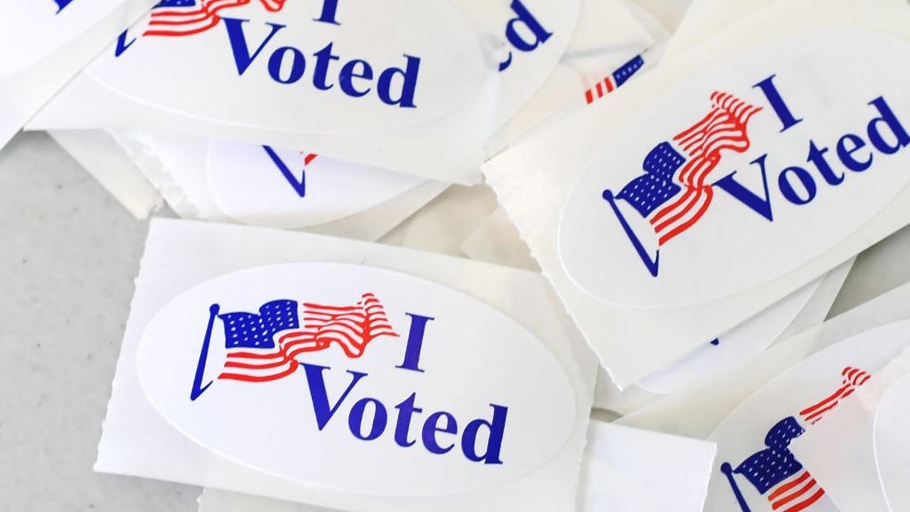 Texas Election 2025: What can I take to vote? Do I need an ID?