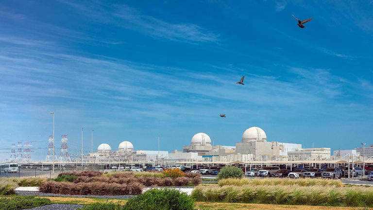 What exactly is a false fall? How gardeners can help get plants and ...