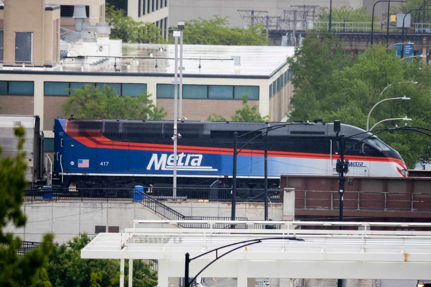 Woman Dies After Being Hit by Train While Walking Her Dogs. One of Them