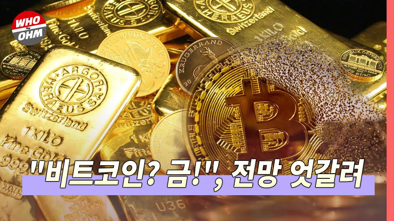 비트코인 대신 금