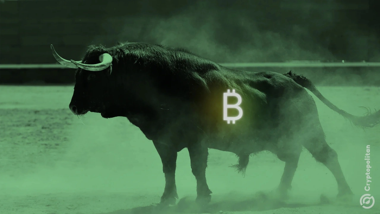 Bull kripto bersiap menghadapi penurunan harga saat Fed merespons data pekerjaan yang lemah