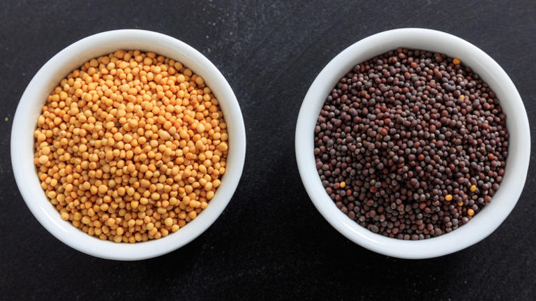 Where Most Of The World's Mustard Seeds Come From