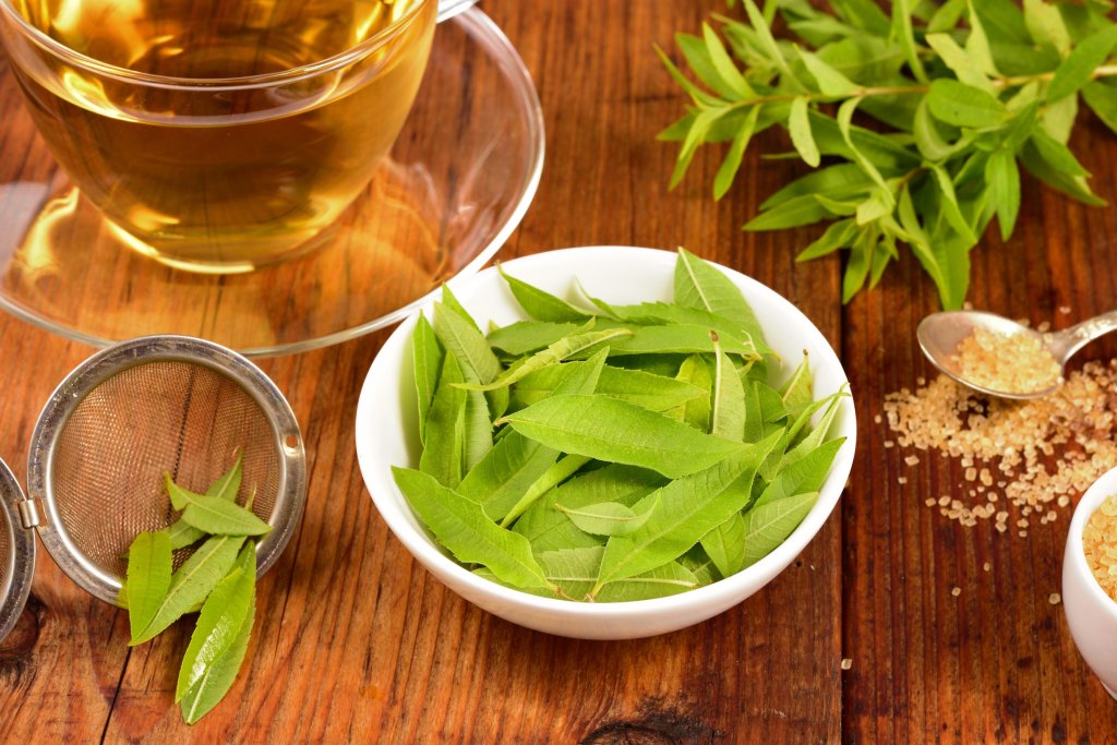 Verveine Bienfaits Islam
