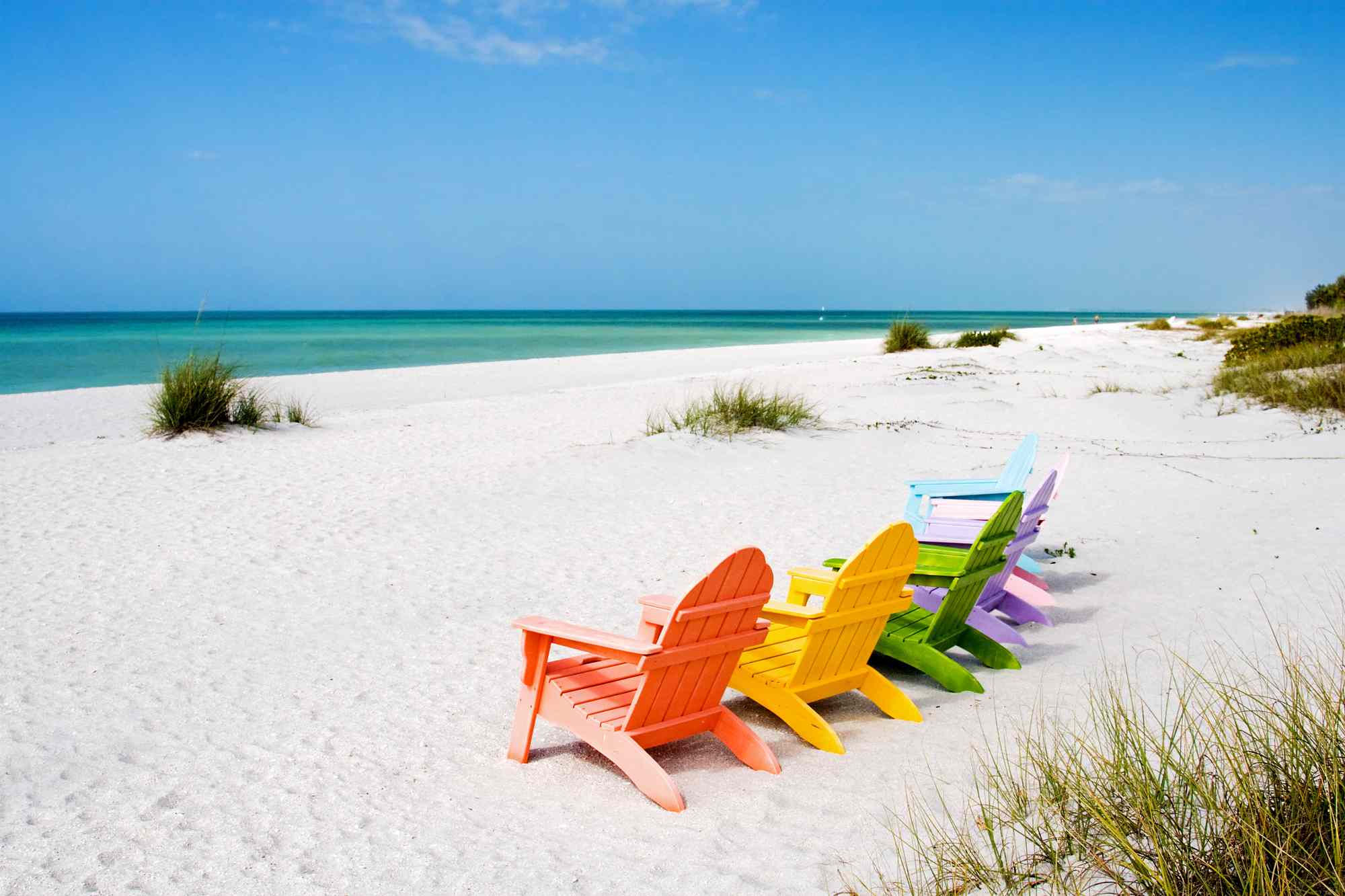 The 'Seashell Capital of the World' Is in Florida—With 400+ Shell ...
