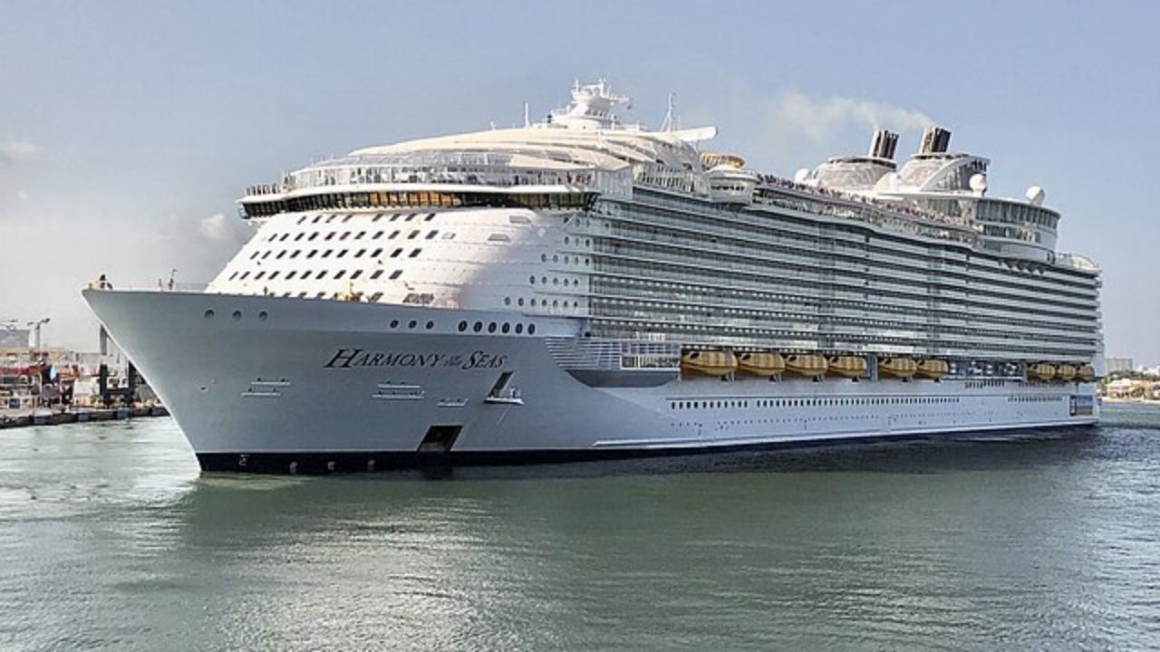 Royal Caribbean Passenger Jumps Off Cruise Ship to Avoid Paying 16,000(00)
