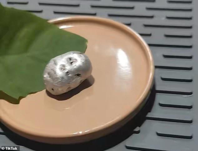 An alleged meteorite shown by TikTok user KinPanama appeared to burn tree leaves when they came in contact with the rock