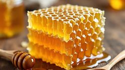 Dr Zaidul Akbar Bocorkan Manfaat Madu dan Kurma untuk Kesehatan