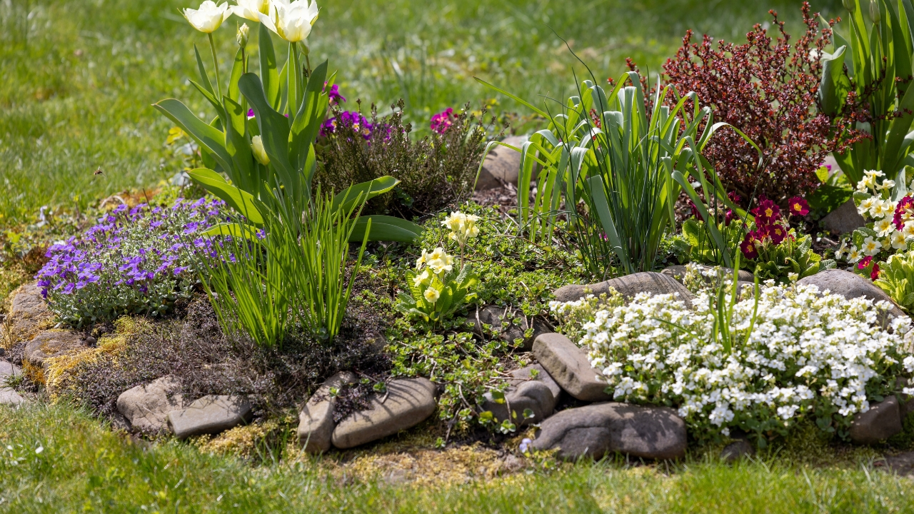 12 garden layouts that beg weeds to take over