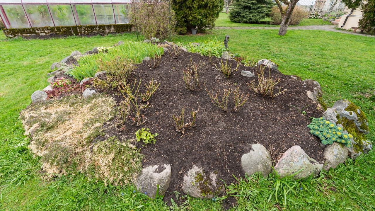 12 garden layouts that beg weeds to take over