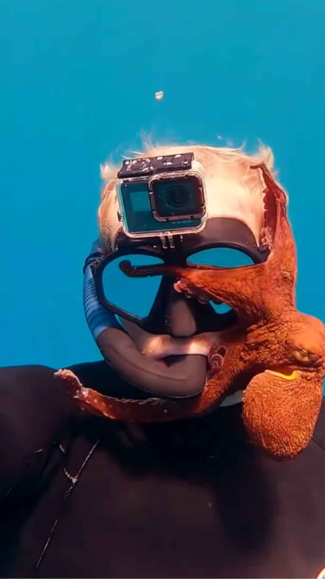 This Octopus Took a Selfie With Me