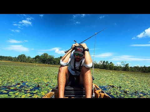 What Losing a Fish in Paradise Really Feels Like