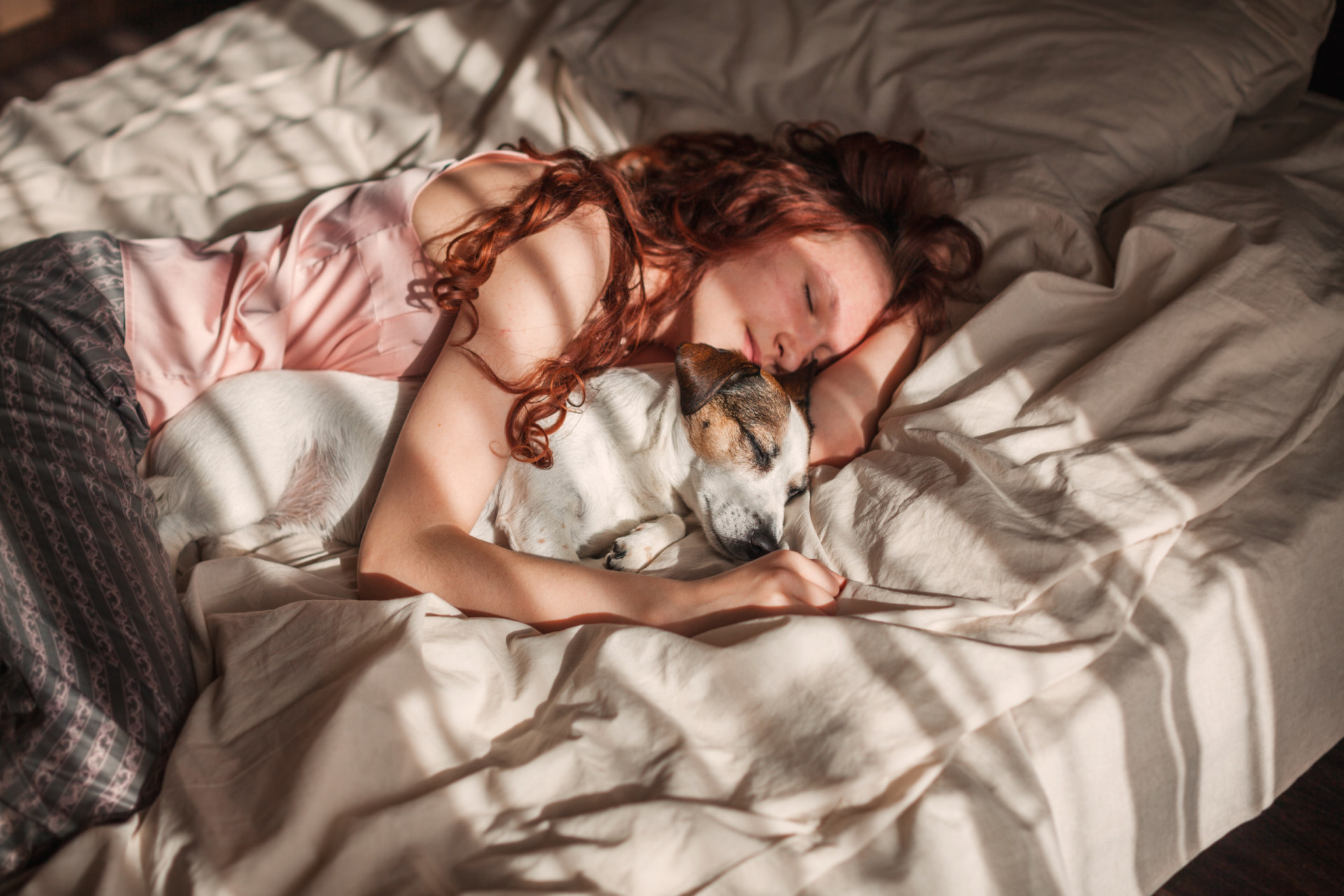 why-women-sleep-better-with-dogs-than-a-partner