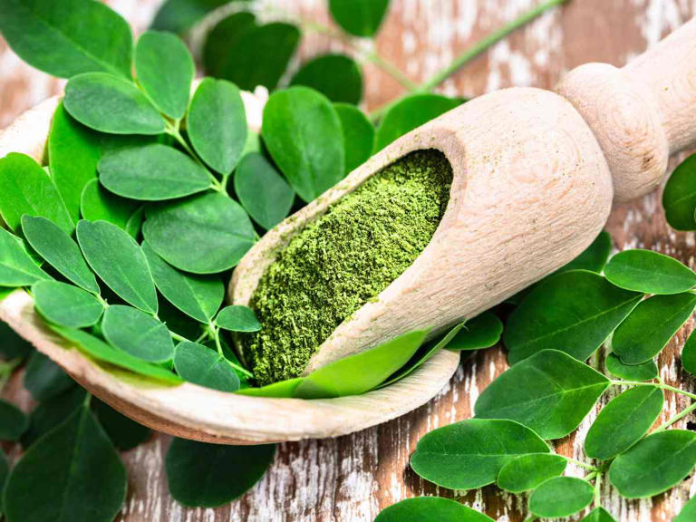 Para qué se usa la moringa. Foto: Canva 