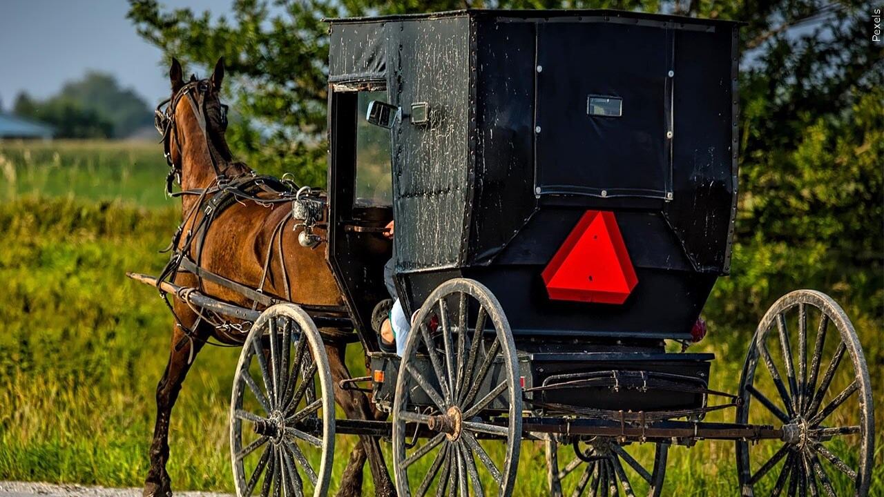 Family hospitalized after Ky. horse and buggy crash