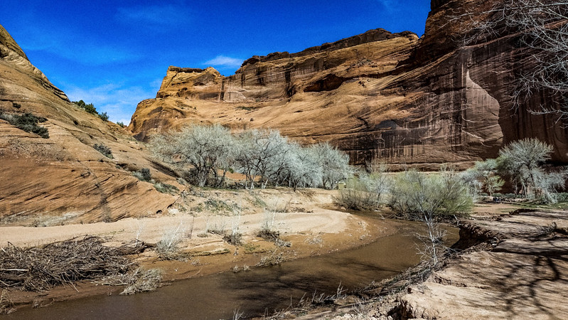Arizona Native sites with deep roots