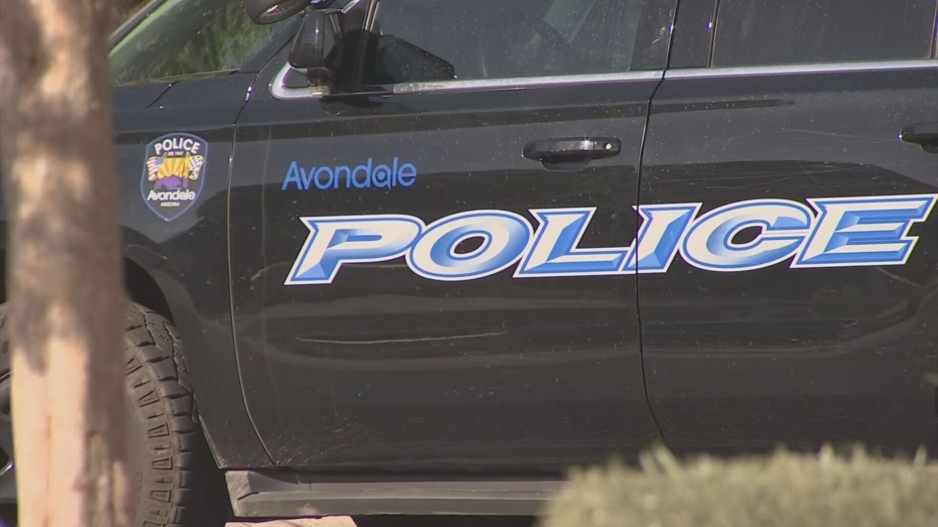 Teen boy arrested for allegedly bringing gun to Avondale school