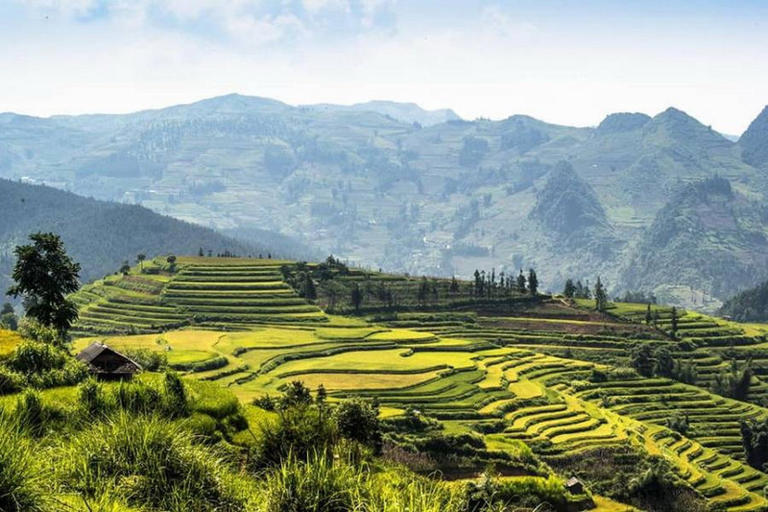 Khám phá các ruộng bậc thang đẹp nhất Lào Cai vào mùa lúa chín