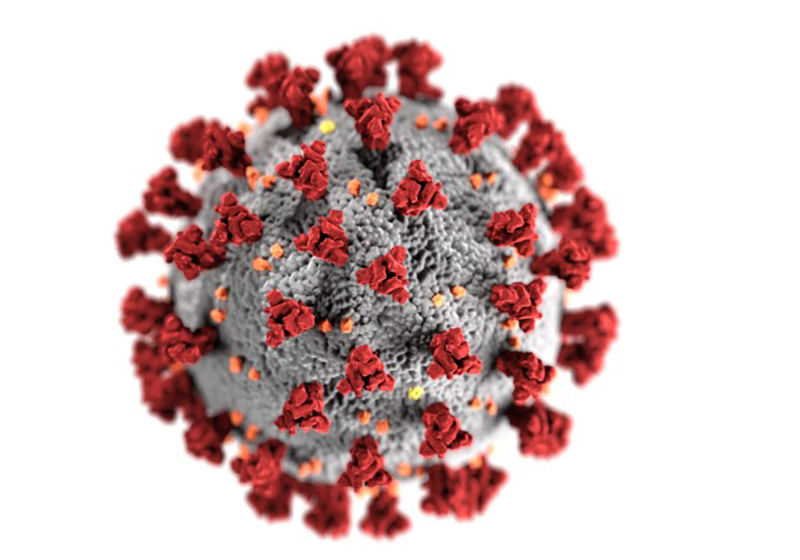 Người đàn ông mắc Covid trong hơn 750 ngày