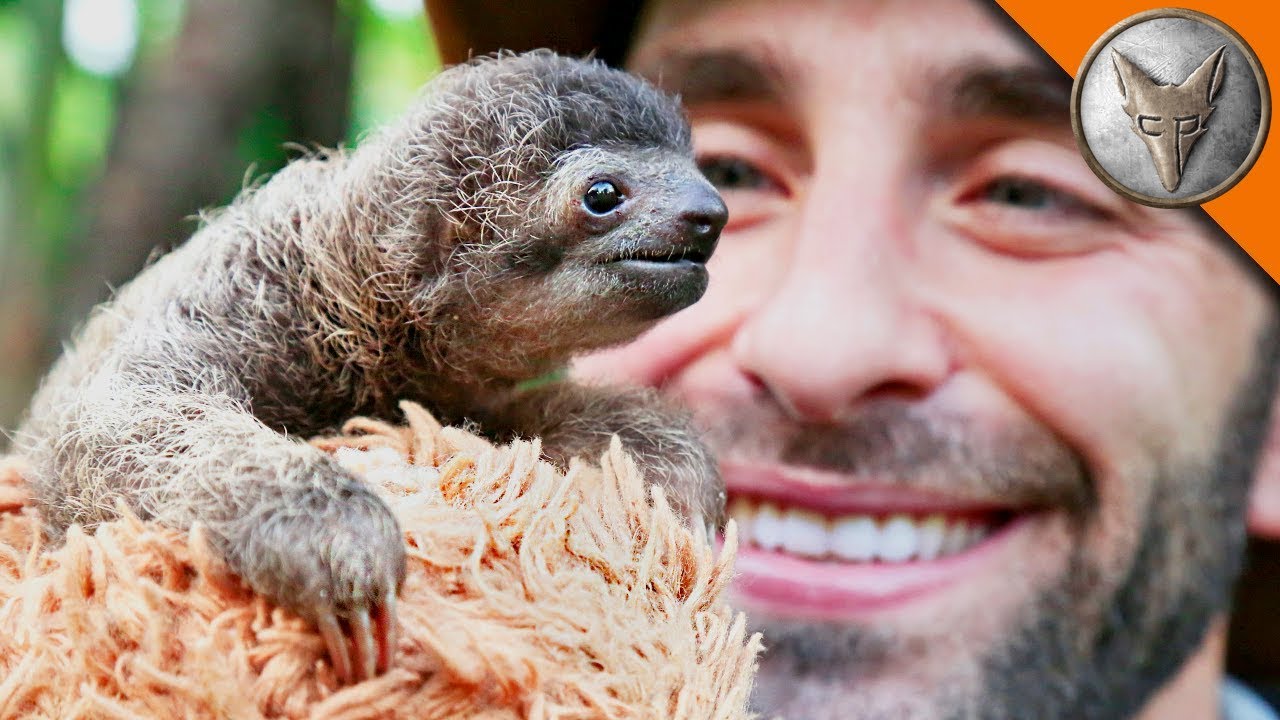 Nature’s Wildest Moments Caught on Camera