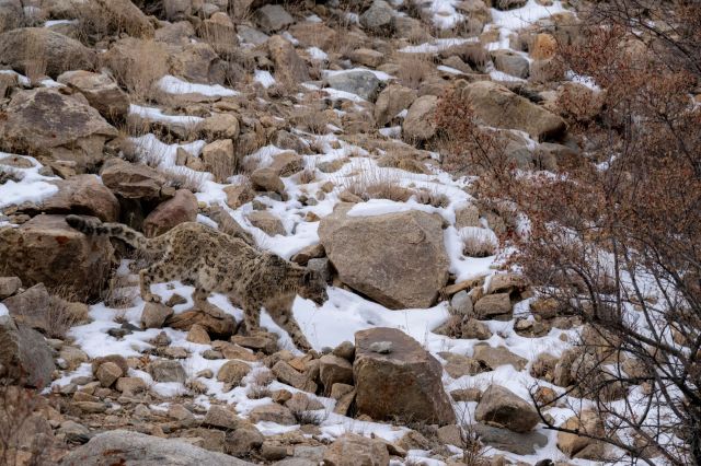 Researchers thrilled after using 3,000 cameras to capture footage of ...