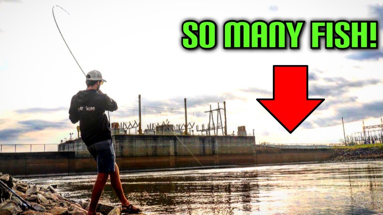River Fishing Secrets: Crappie, Bass, Saugers