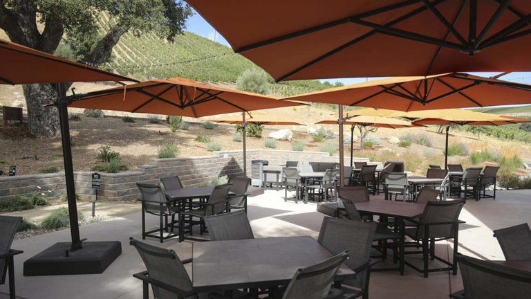 These 35 new eateries, tasting rooms and businesses opened in SLO ...