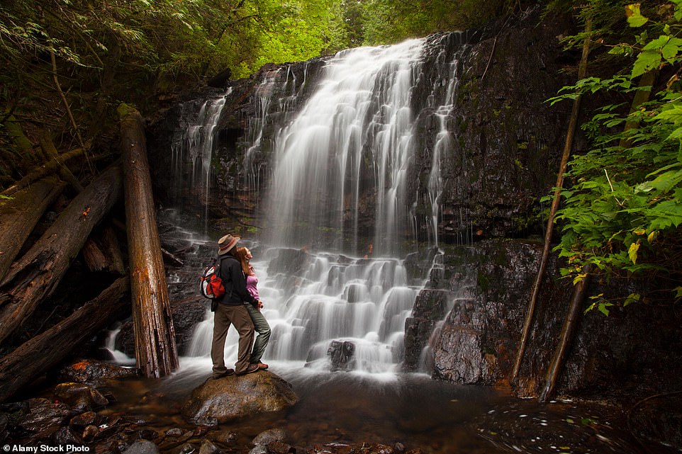Final Moments Of Hiker As Bear Charges At Him In Greece