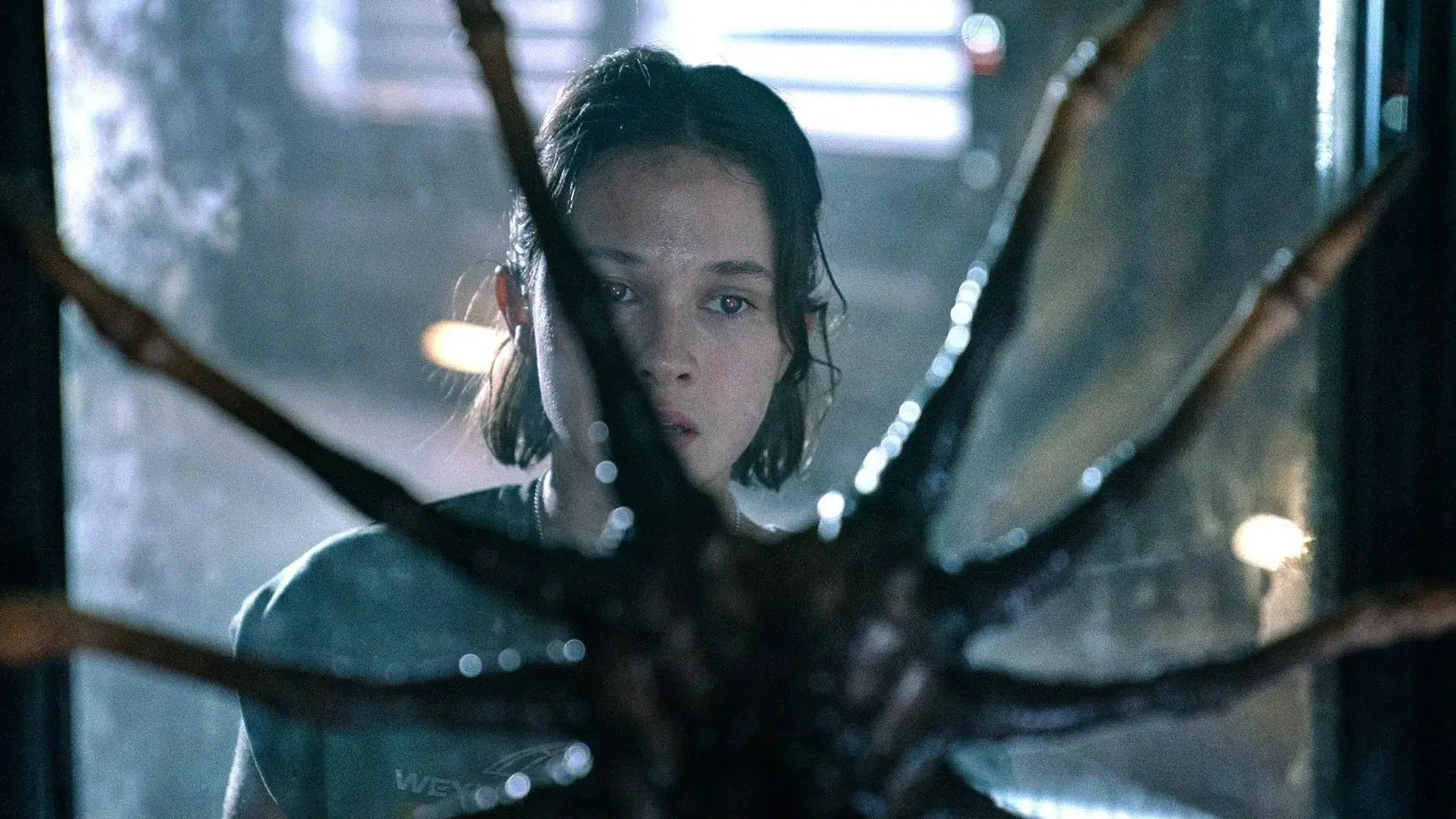 Alien Romulus 2 : non, ce réalisateur ne fera pas le film, il le ...