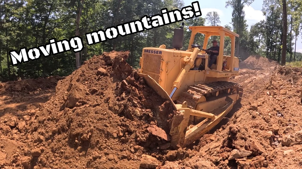 Rose Stabilizzate Ingrosso Per Fioristi | Complementi E Regali - Foto 7