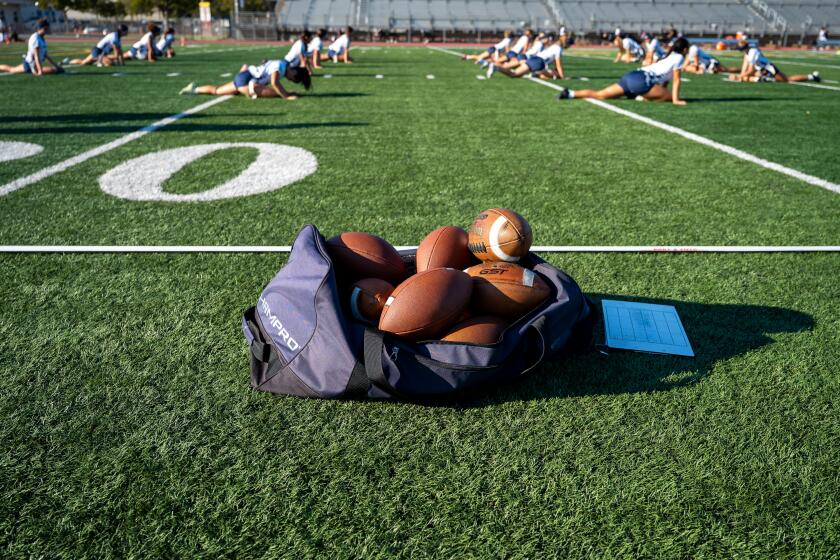 As California installs more artificial turf, health and environmental ...
