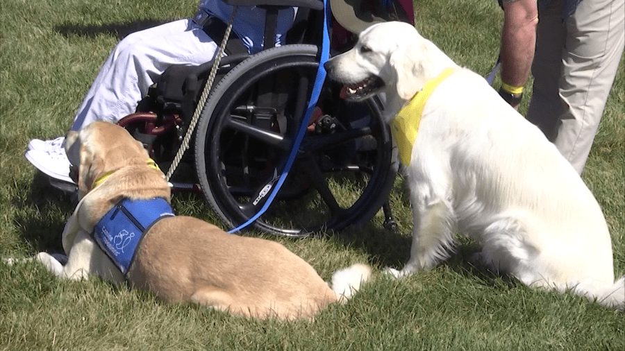 View of How Canine Companions volunteers are keeping a loved one’s memory alive