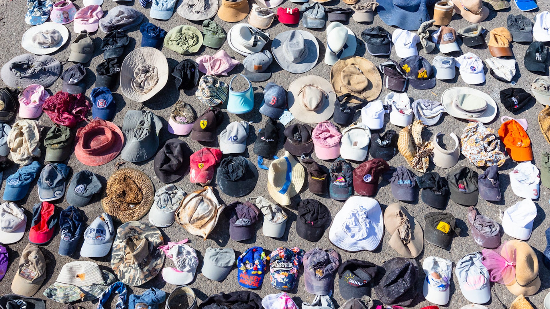 How Many Hats Are Lost In Yellowstone National Park?