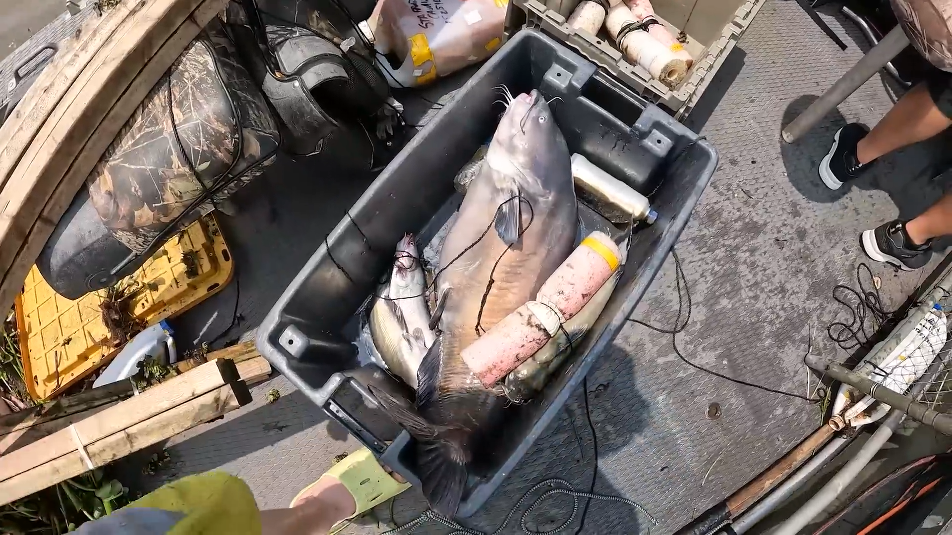 Monster Catfish & Cajun Cooking on the Bayou