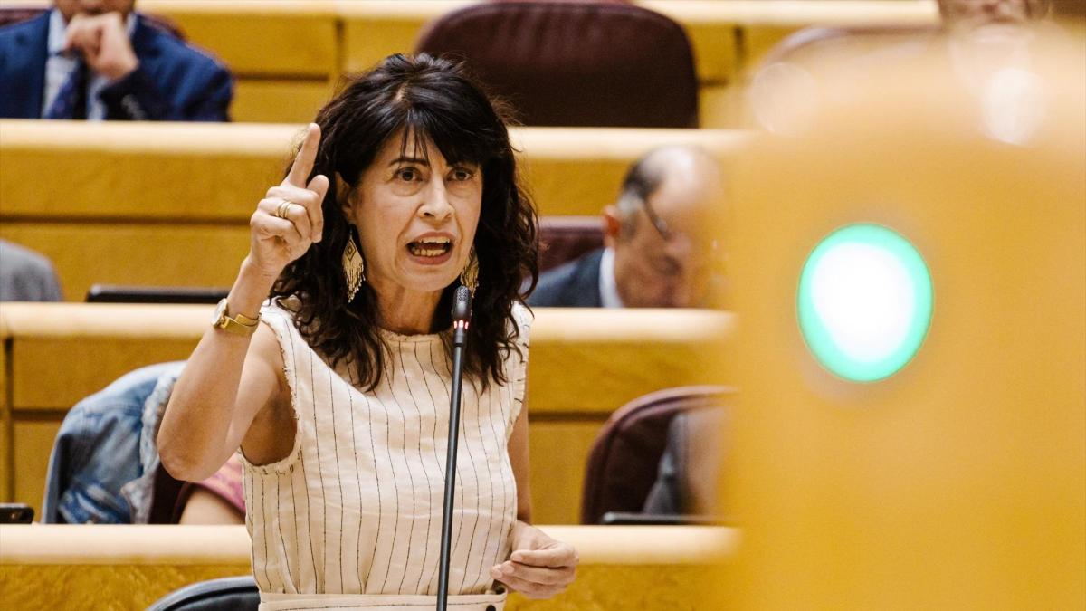 EL PP pide la dimisión de la ministra de Igualdad por los fallos en las ...